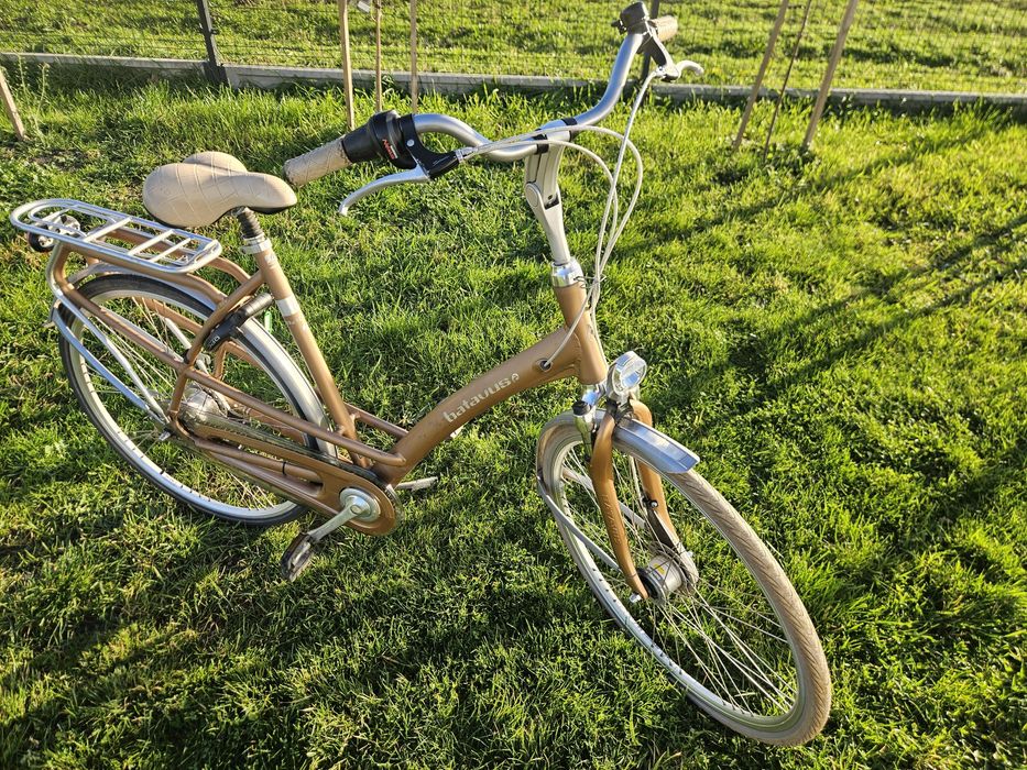 Rower Holenderski Batavus