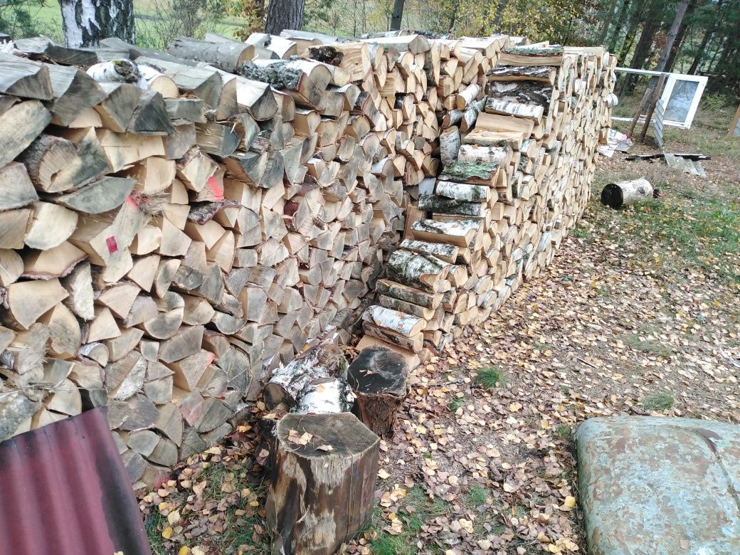 Drzewo opałowe poszczepanego brzoza
