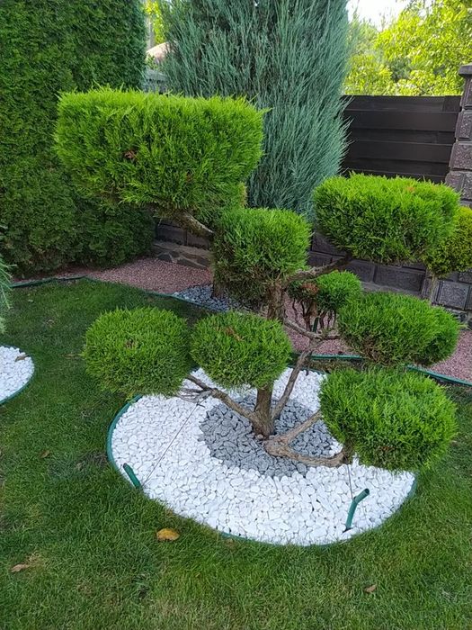 Стрижка рослин, посів газону, обрізка дерев