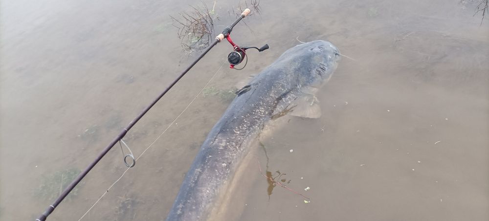 Domek na  Mikołajki z jacuzzi  blisko Warszawy nad rzeką - Romek