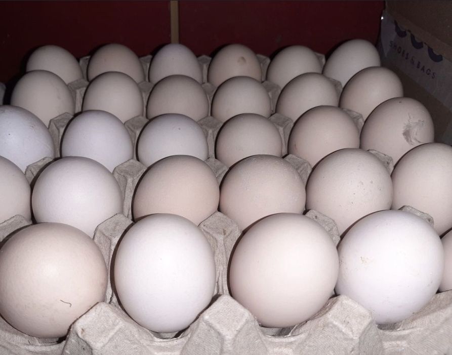 Wiejskie jajka,  mniejsze wieksze ilości