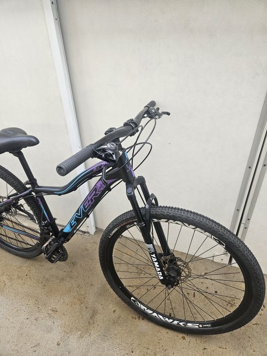 Bicicleta de roda 29