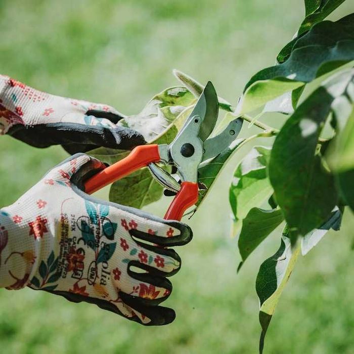 ZESTAW 3 sztuk SEKATOR do GAŁĘZI do ŻWYOPŁOTU Nożyce Ogrodowe