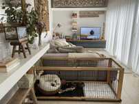 Parque / Gaiola para cães