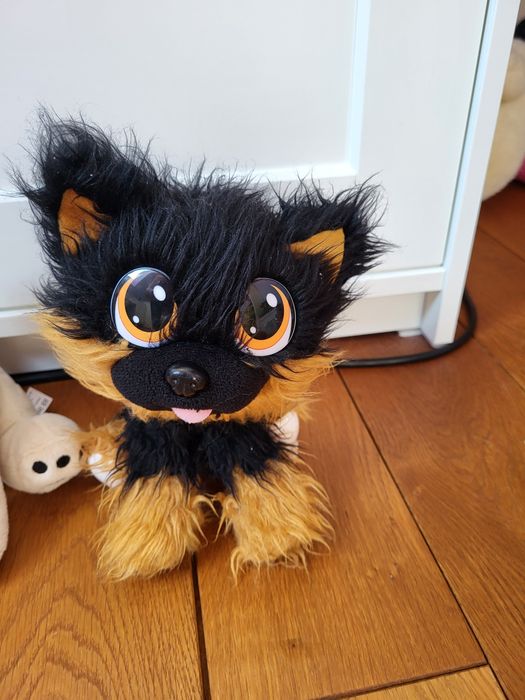 zestaw 3 pluszowych piesków, pieski pluszaki Ty, Pepco