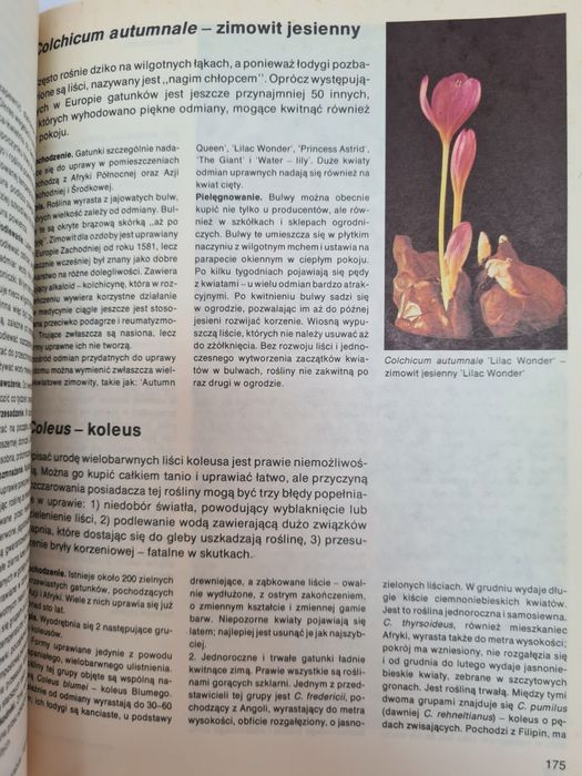 Mieszkamy wśród kwiatów - Książka