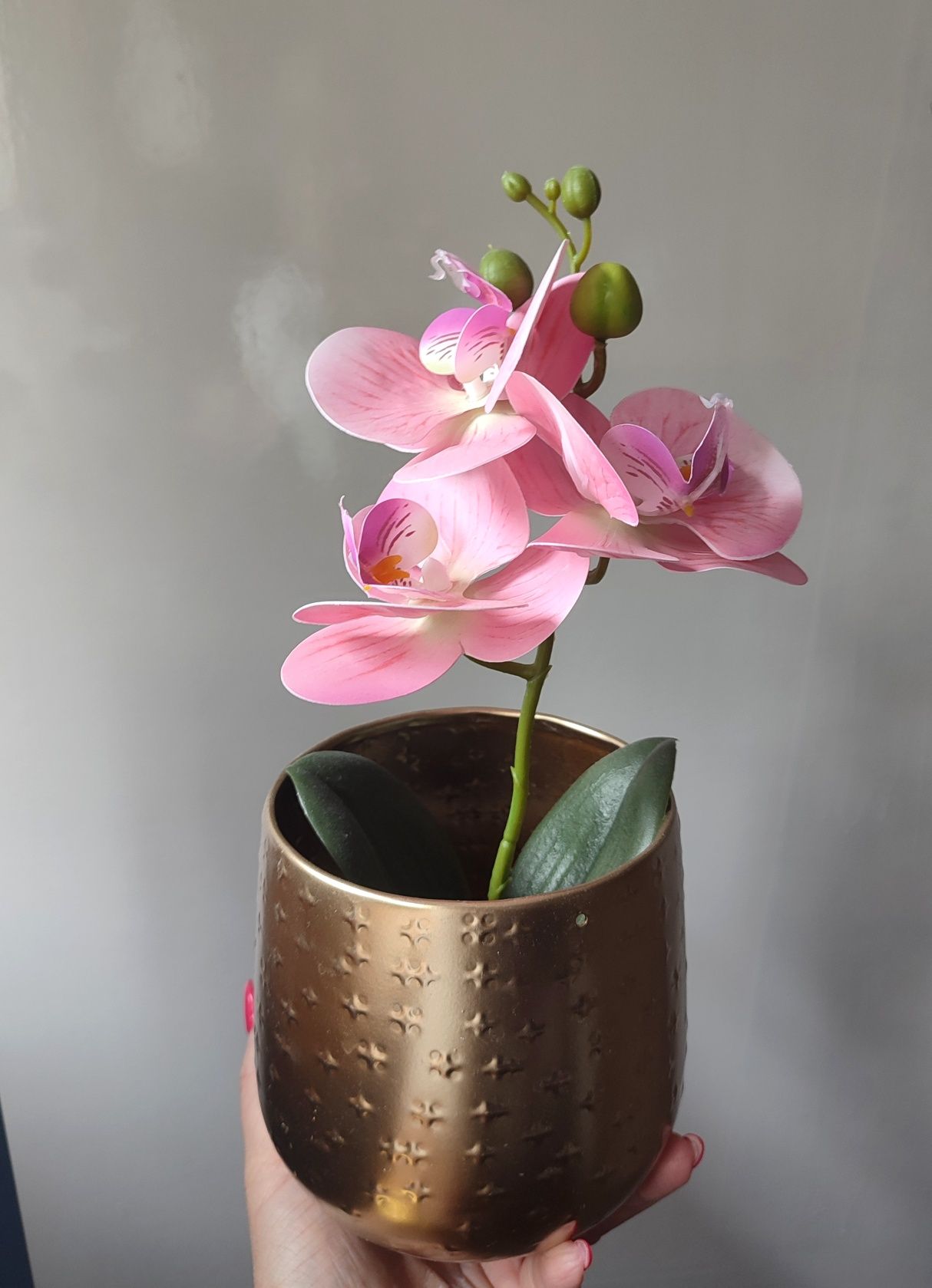 Storczyk sztyczny kwiat nowy 32cm doniczka
