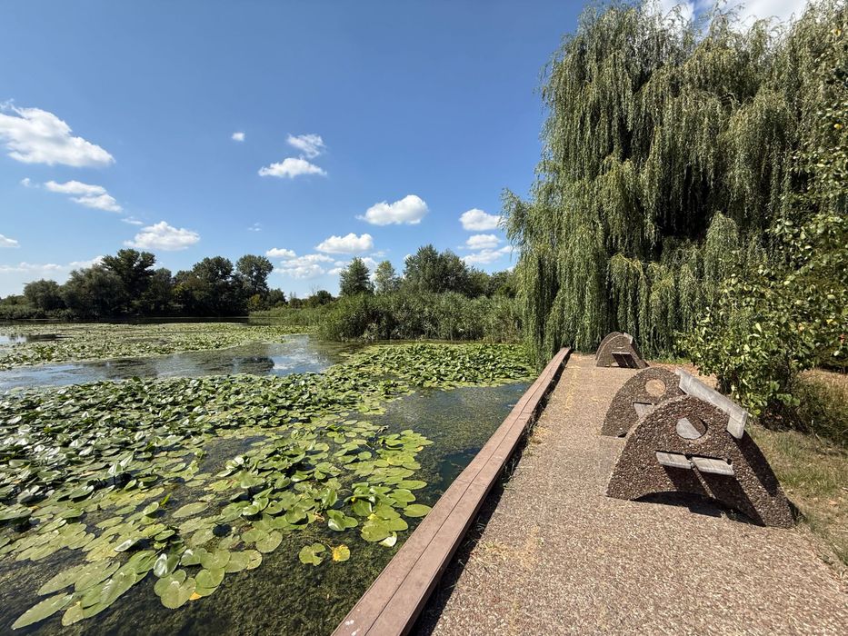 Продам участок ул. Прибрежная (пгт Обуховка)