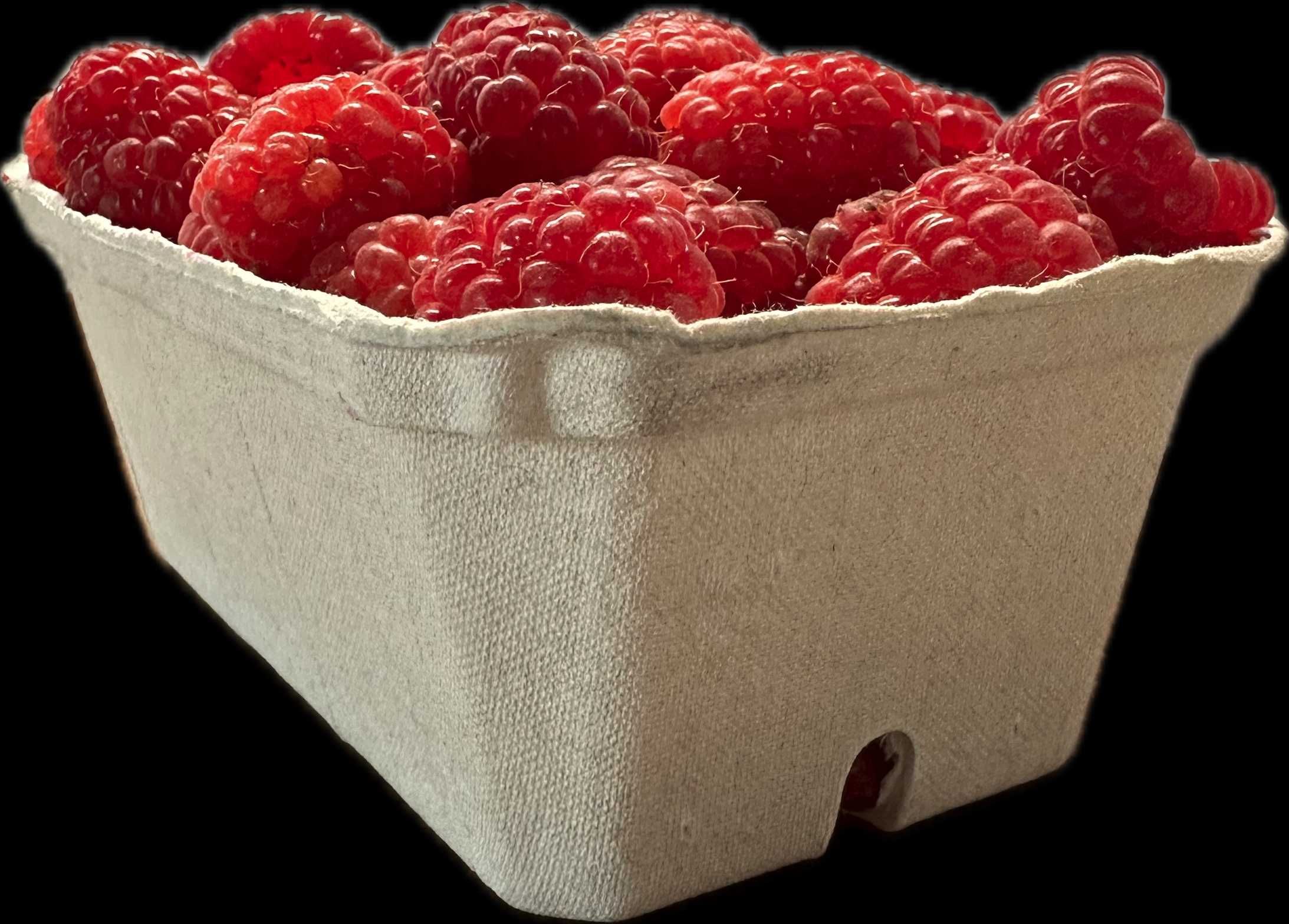 POJEMNIKI na maliny borówki 200g 990 szt PRODUCENT NAJTANIEJ MAMY