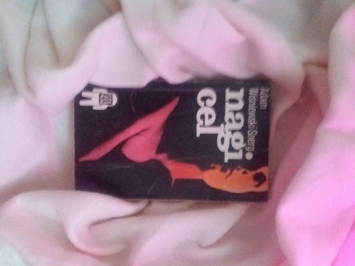 Adam Wiśniewski Snerg - Nagi Cel