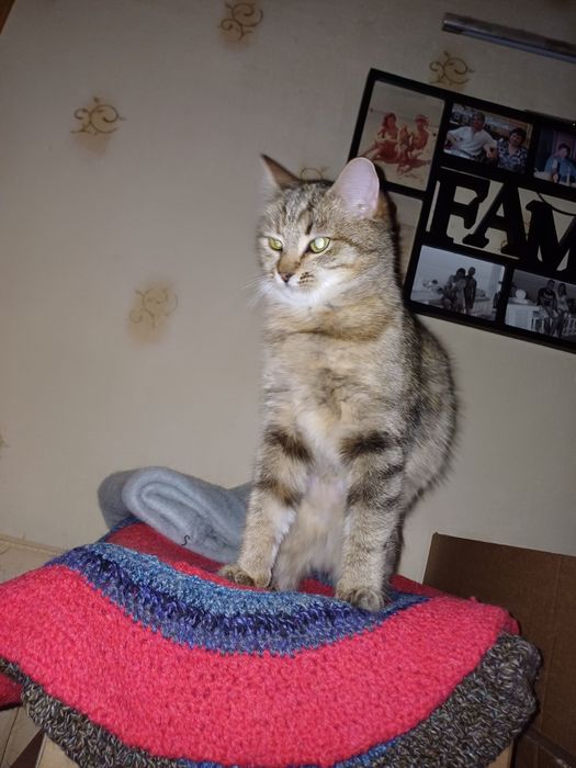 Ніжна Люсі - любов з першого погляду!!