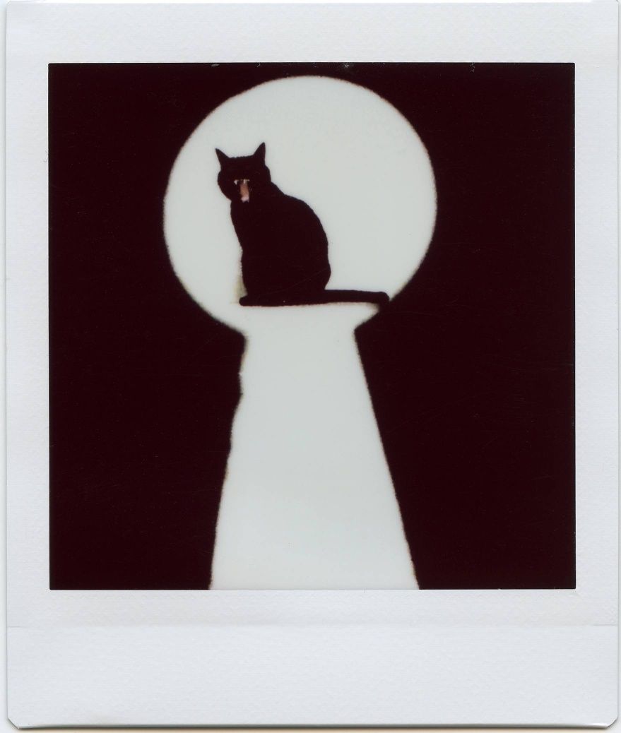Instax SQ10 aparat natychmiastowy rzadki model