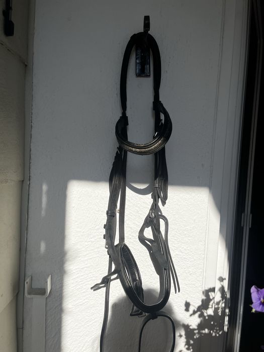 Ogłowie Kavalkade Cob/Full