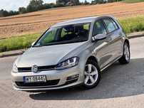 Volkswagen Golf Salon Polska, Pierwszy Właściciel.