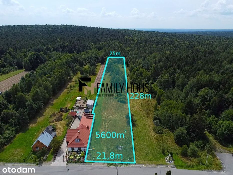 Piękna, duża działka w niskiej cenie