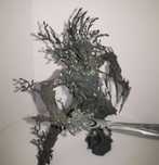 Spirit of Durthu