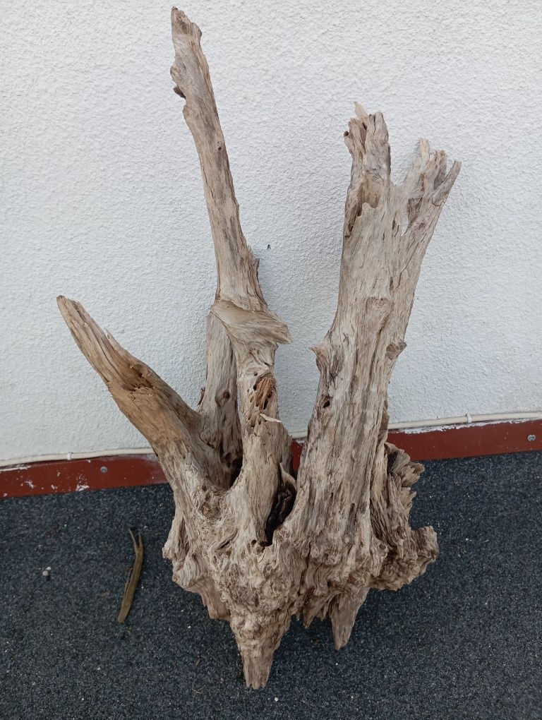 Korzenie do akwarium cd ,terrarium duży wybór !