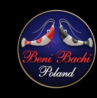 Baby Food 20g Benibachi