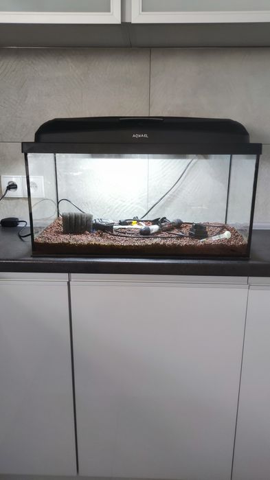 Akwarium 60l+wyposażenie