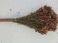 Віники для бані дуб береза евкаліпт трав'яні віники для запаха м'ята п