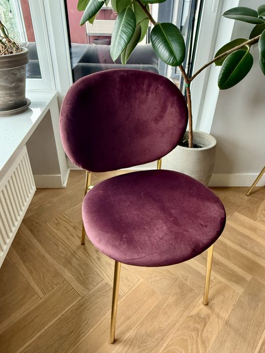 Krzesło Calligaris Ines (6x)