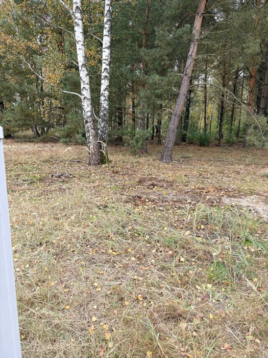 Działka budowlana z WZ