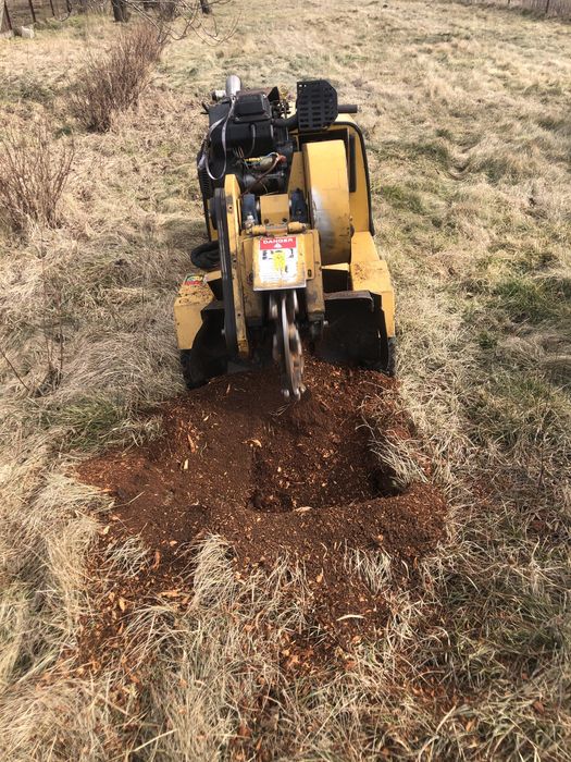 Frezowanie pni karp wycinka mulczer czyszenie  mazowieckie warszawa