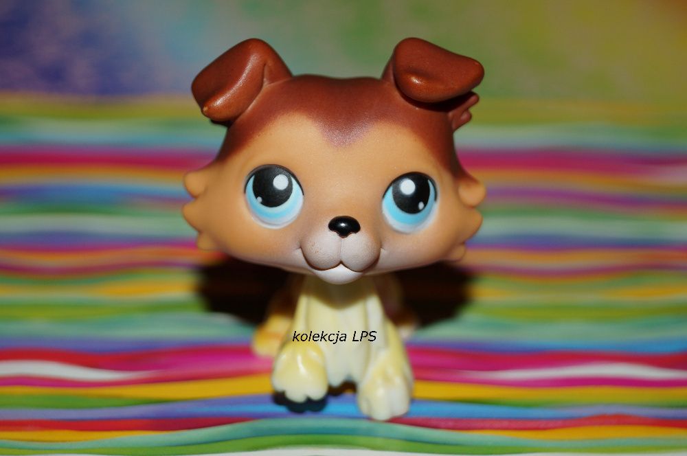 LPS Littlest Pet Shop collie #58 SAGE oryginalny oryginał UNIKAT POP