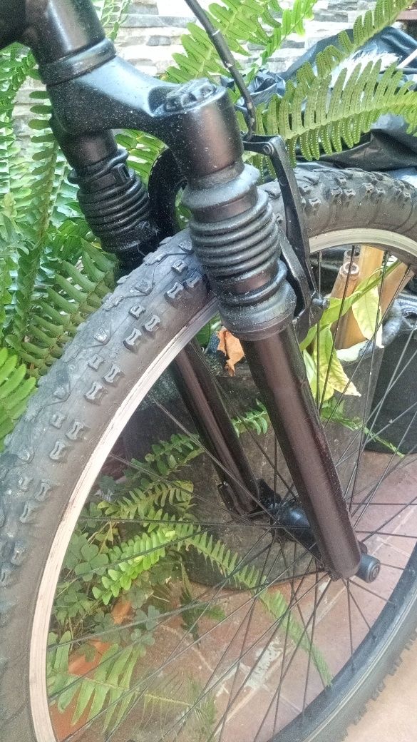 Vendo BTT (particular)