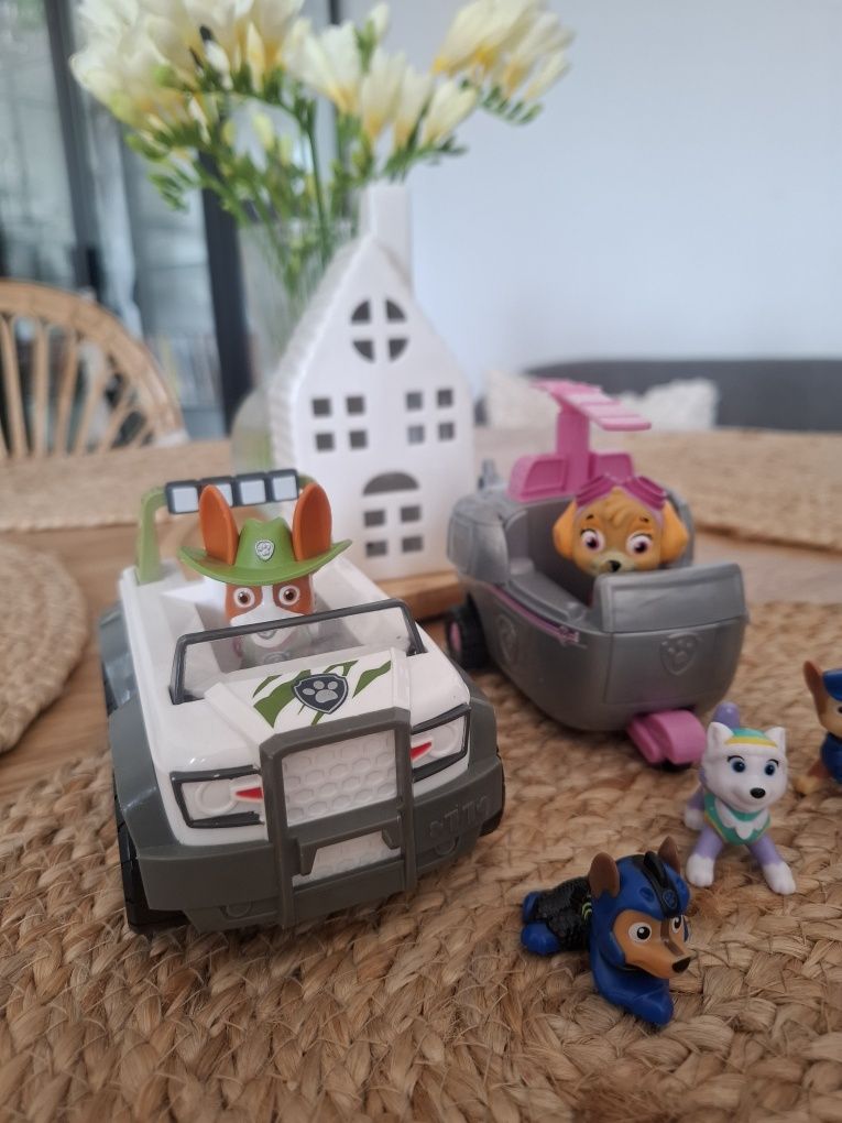 Psi patrol Skye Chase