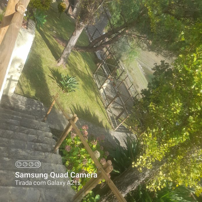 jardinagem e limpeza de terrenos