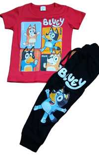 Conjunto Bluey menino 2 aos 12  anos