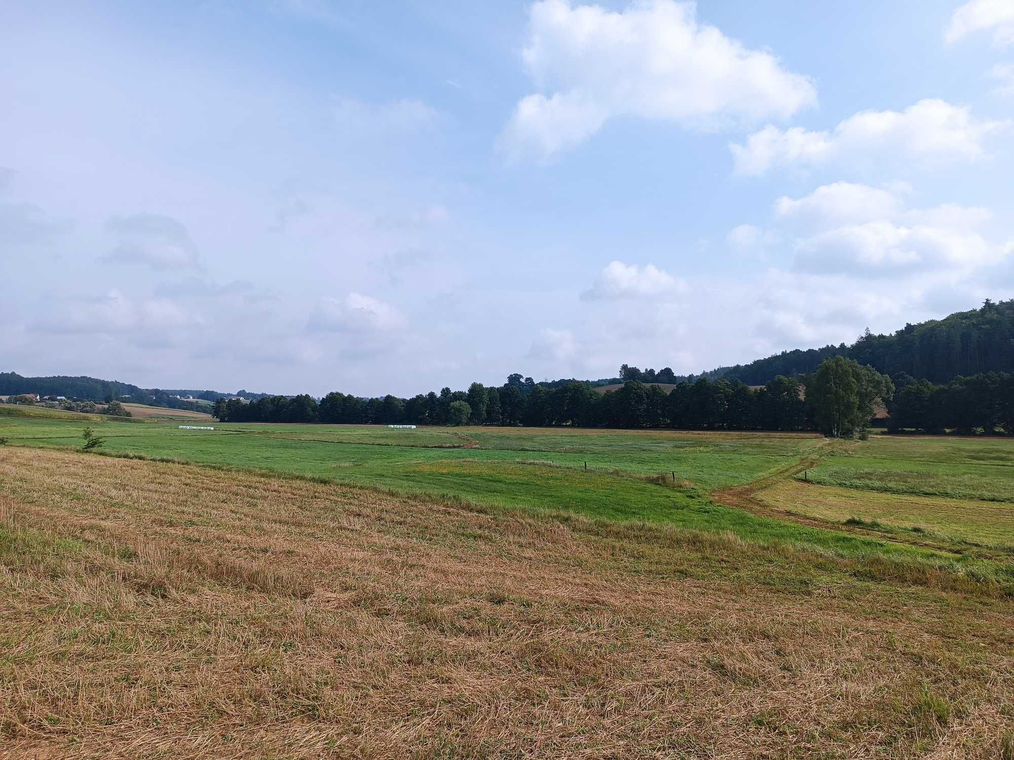 Działka rolna Bącz gm. Kartuzy - blisko jezioro