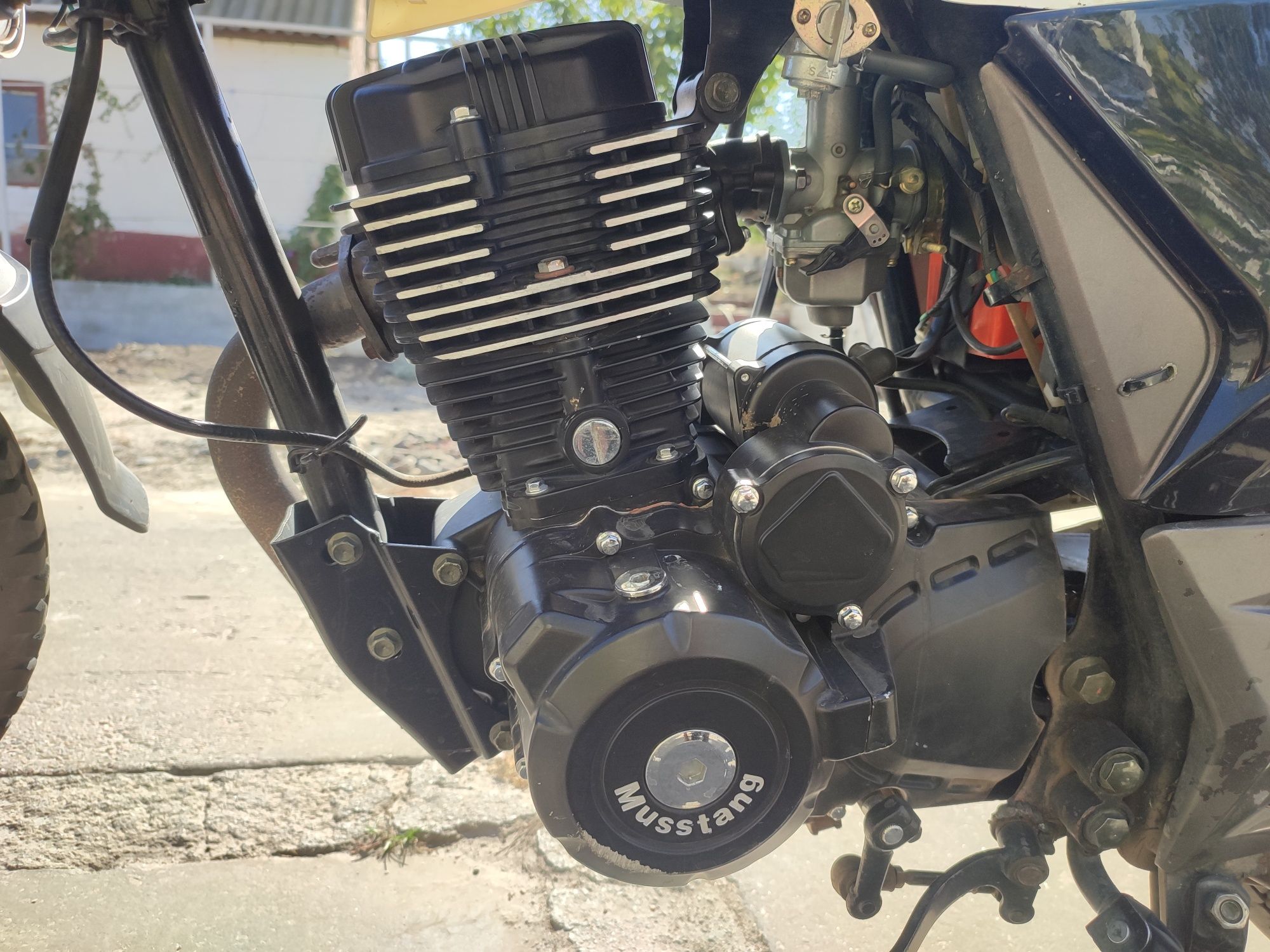 Musstang Region MT200