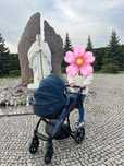 Wozek 2w1 milu kids bacio