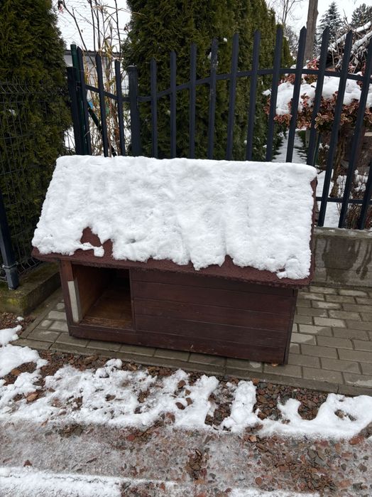 Buda dla psa oddam za darmo