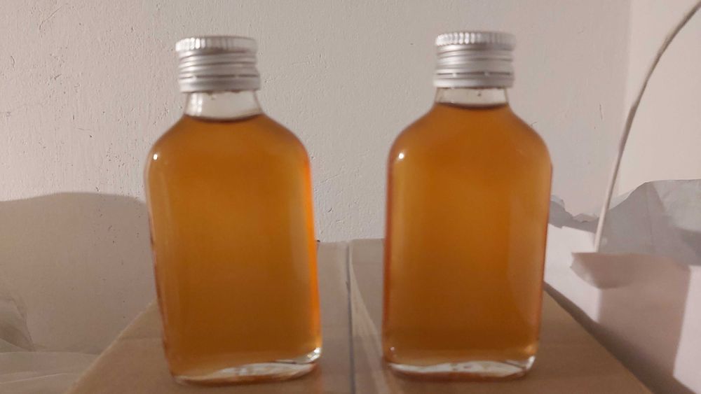 Syrop z młodych pędów sosny 100ml SOSNA