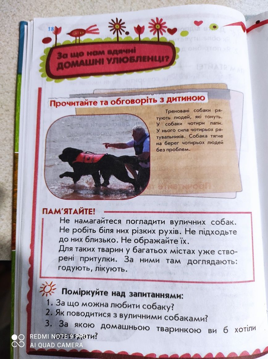 Природознавство для початкової школи