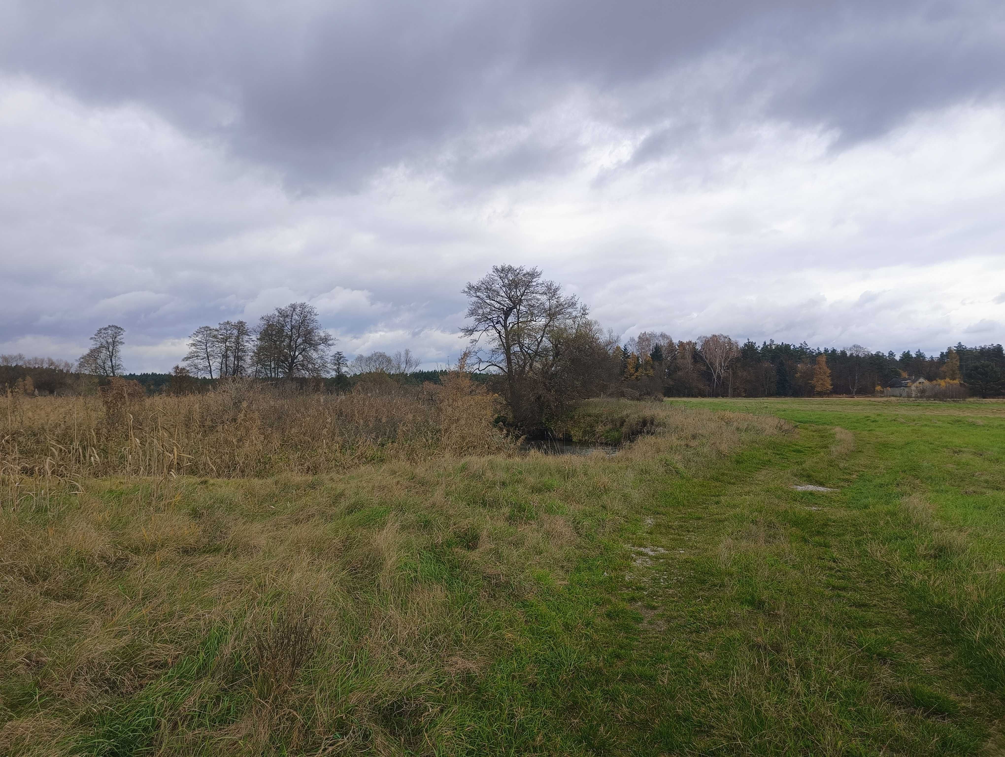 DZIAŁKA Z BEZPOŚREDNIĄ LINIĄ Brzegową rzeki Bobrza - Raj dla Wędkarza