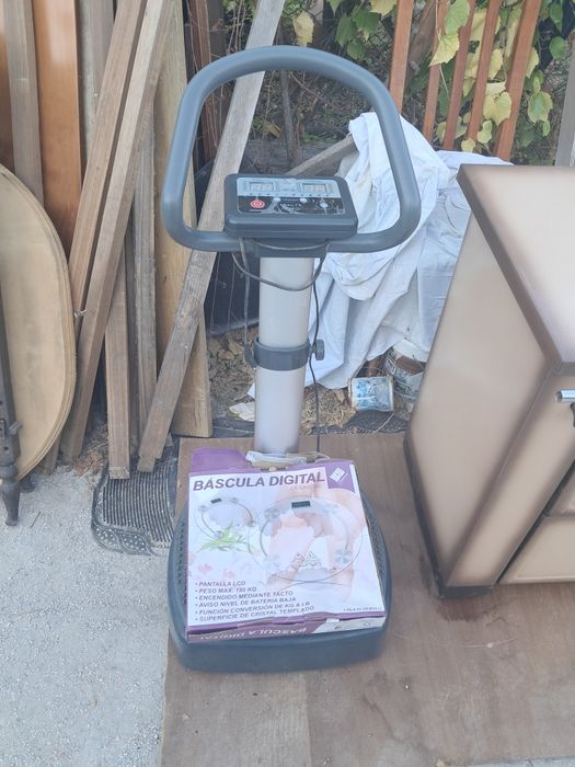 Maquina vibratoria fitness
