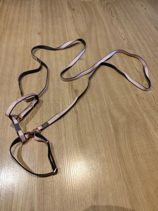 Peitoral com trela nova