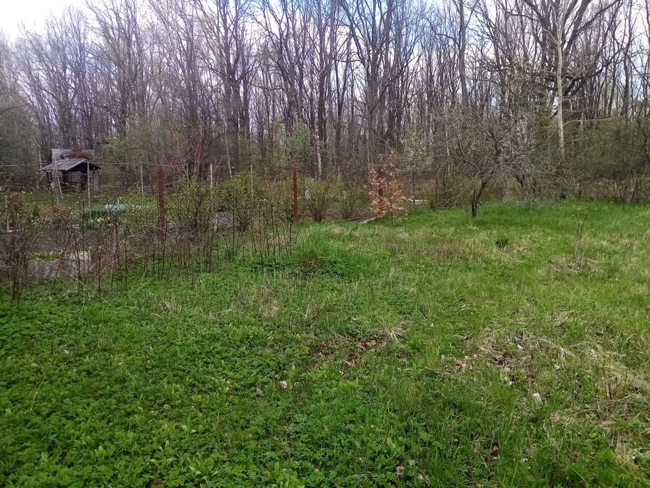 Продаж дачної ділянки,село Черніїв