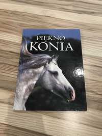 Książka „Piękno konia”