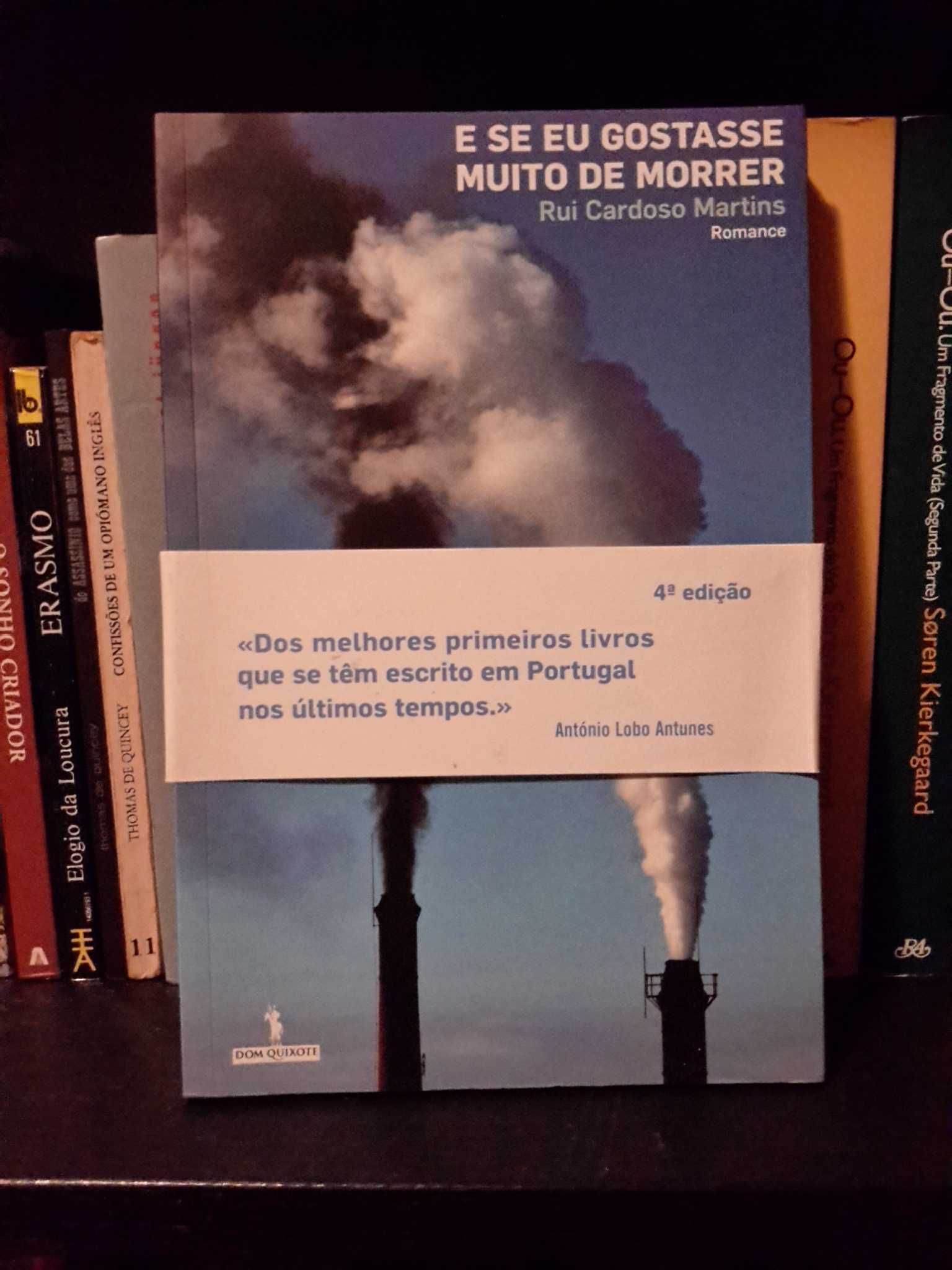 Rui Cardoso Martins - E se eu gostasse muito de morrer