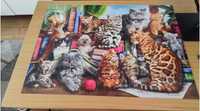 kompletne puzzle Castorland "hause of cats" (2000 elementów)