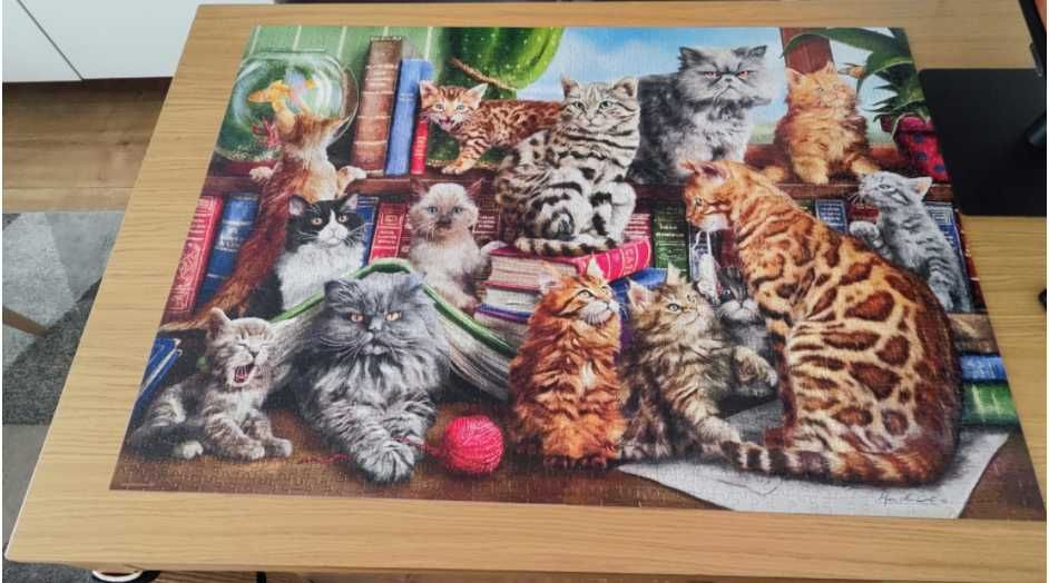 kompletne puzzle Castorland "hause of cats" (2000 elementów)