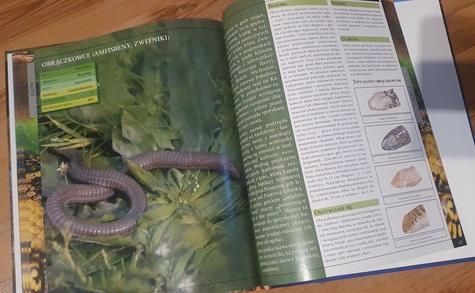 Encyklopedia zwierząt Gady