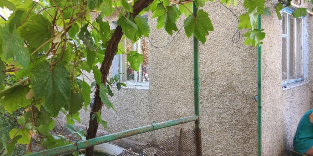 Продам будинок у с. Новобогданівка