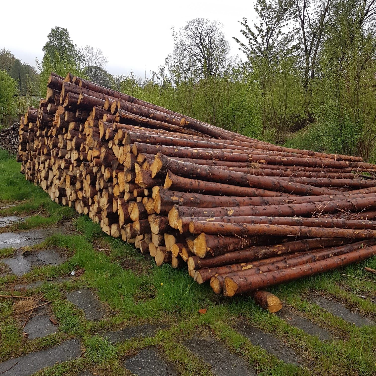 Stęple budowlane świerkowe, słupki drewniane 3m 4m 6m