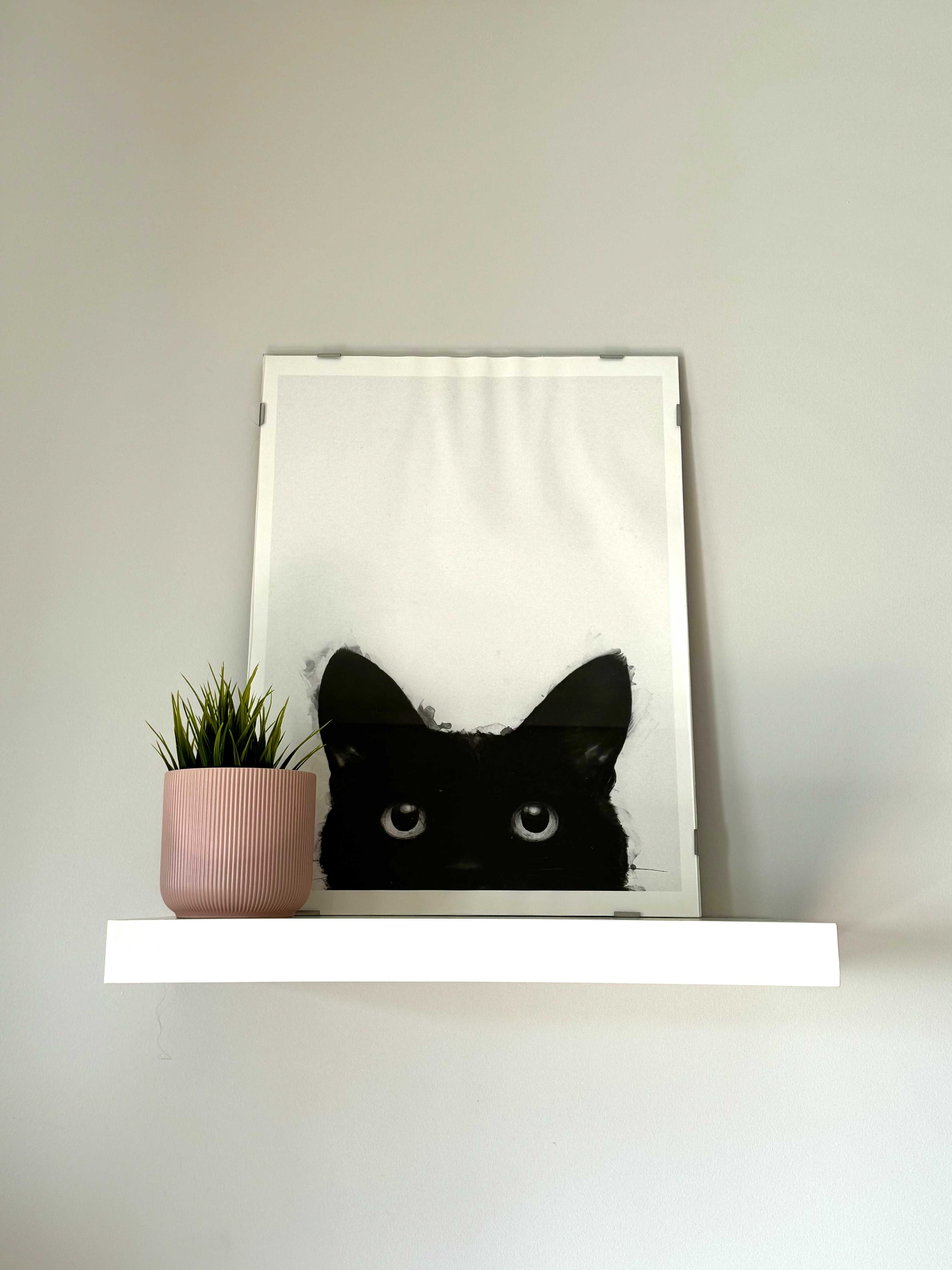 Poster gato preto com moldura